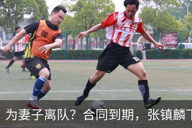 为妻子离队？合同到期，张镇麟下家4选1，广东2队有机会
