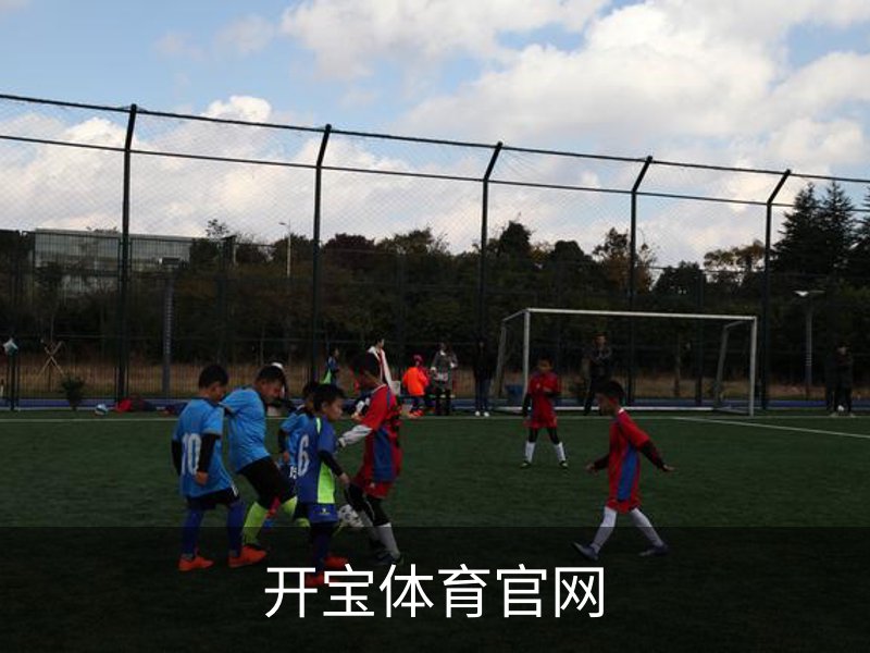 了解开宝体育官网