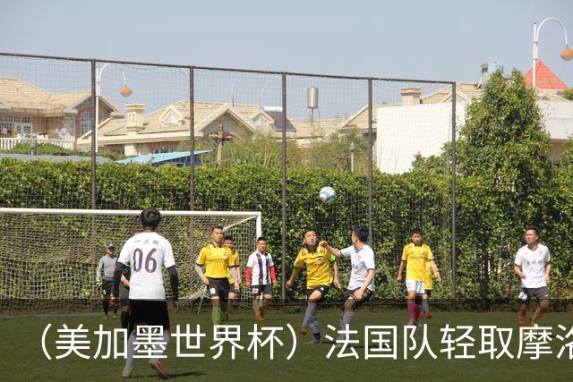 （美加墨世界杯）法国队轻取摩洛哥队晋级四强 非洲球队全部出局
